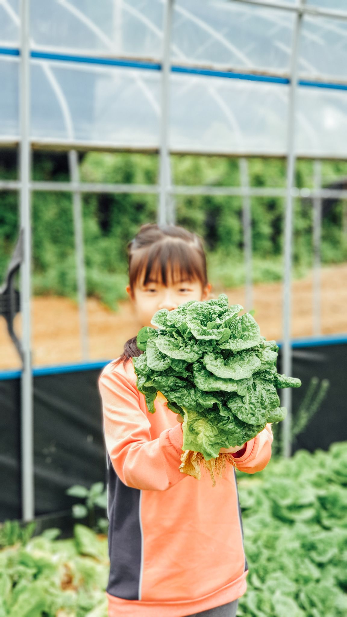 2020년5월16일 체험 20